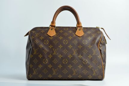 Louis Vuitton Handbag Speedy 30 - M41108